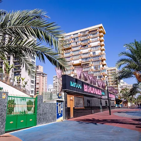 Provima Mallorca 13a Benidorm