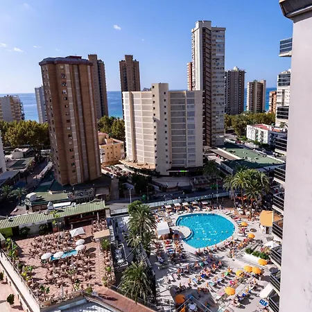 Provima Mallorca 13a * Benidorm